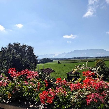 Ferienwohnungen Auf Dem Paulbauernhof Triebenbach Kültér fotó